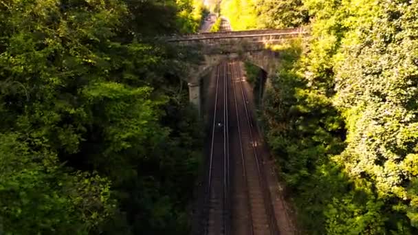 Uma Cena Pitoresca Uma Ferrovia Sinuando Seu Caminho Através Uma — Vídeo de Stock