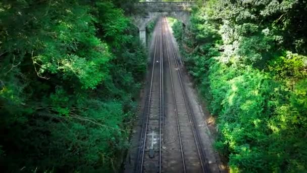 一幅幅风景如画的铁路蜿蜒穿过一片茂密的森林 钢轨与自然环境和谐地融合在一起 邀请你在大自然中平静地穿行 — 图库视频影像