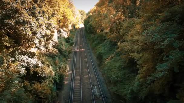 무성한 통과하는 철도의 트랙은 조화롭게 환경과 혼합되어 자연을 조용한 여정에 — 비디오