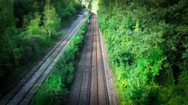 Una Pintoresca Escena Ferrocarril Serpenteando Través Exuberante Bosque Las Pistas — Vídeos de Stock