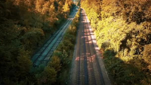 Живописная Сцена Железной Дороги Извивающейся Через Пышный Лес Стальные Дорожки — стоковое видео