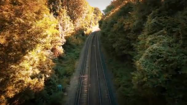 Мальовнича Сцена Залізниці Проходить Через Пишний Ліс Сталеві Доріжки Гармонійно — стокове відео