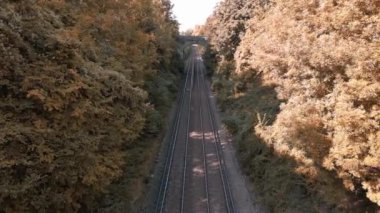 Bereketli bir ormanın içinden geçen bir demiryolu manzarası. Çelik izler doğal çevreyle uyumlu bir şekilde harmanlanarak sizi doğada huzurlu bir yolculuğa davet ediyor..