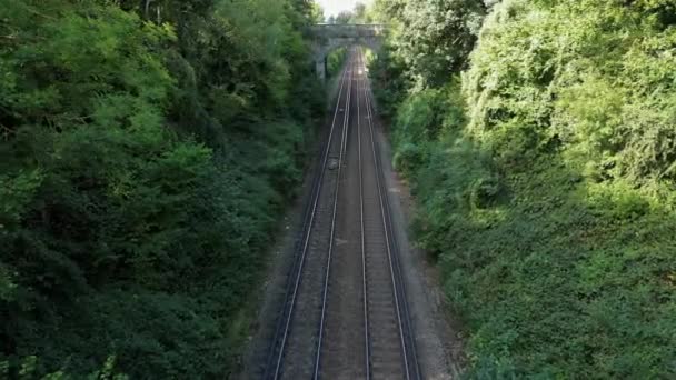 Pittoresk Scen Där Järnväg Slingrar Sig Genom Lummig Skog Stålspåren — Stockvideo