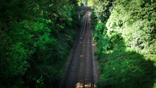 Una Pintoresca Escena Ferrocarril Serpenteando Través Exuberante Bosque Las Pistas — Vídeo de stock