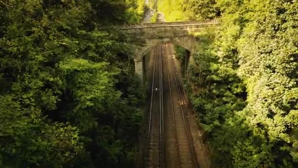 Une Scène Pittoresque Chemin Fer Serpentant Travers Une Forêt Luxuriante — Video