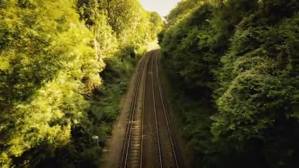 緑豊かな森の中を流れる鉄道の美しい景色 スチールトラックは自然と調和し 自然を通して静かな旅にあなたを招待します — ストック動画