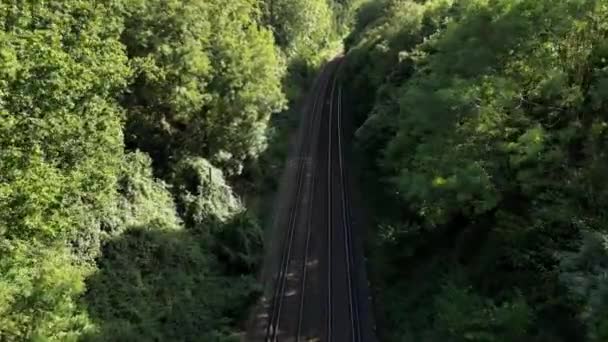 Una Pintoresca Escena Ferrocarril Serpenteando Través Exuberante Bosque Las Pistas — Vídeos de Stock
