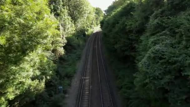 Malebná Scéna Železnice Vinoucí Bujným Lesem Ocelové Stopy Harmonicky Splývají — Stock video