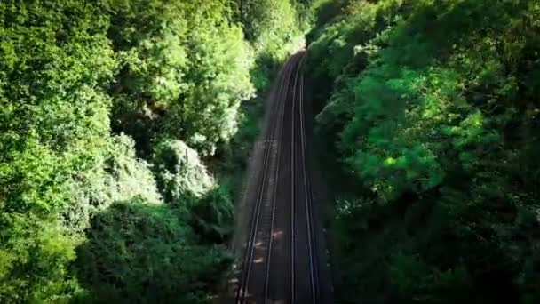 Uma Cena Pitoresca Uma Ferrovia Sinuando Seu Caminho Através Uma — Vídeo de Stock