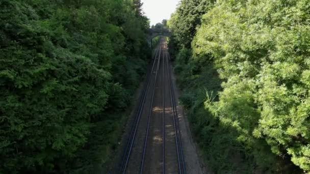 Una Pittoresca Scena Una Ferrovia Che Snoda Attraverso Una Lussureggiante — Video Stock