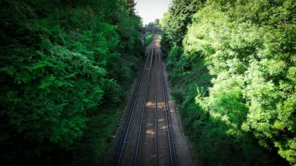 무성한 통과하는 철도의 트랙은 조화롭게 환경과 혼합되어 자연을 조용한 여정에 — 비디오