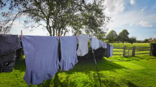 Scena Prac Domowych Świeżym Powietrzu Słoneczny Dzień Świeżo Wypranymi Ubraniami — Wideo stockowe