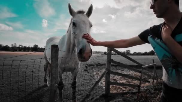 Entdecken Sie Das Paradies Eines Pferdeliebhabers Als Reiter Und Hengst — Stockvideo