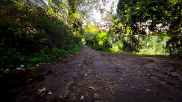 Caminho Florestal Tranquilo Coração Natureza — Vídeo de Stock