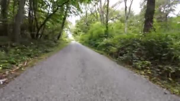 Autumn Drive Travers Les Routes Tranquilles Campagne — Video