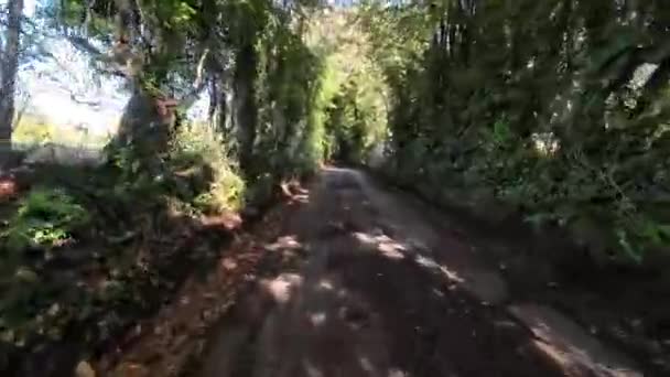 Jesienna Przejażdżka Spokojnych Wiejskich Drogach — Wideo stockowe