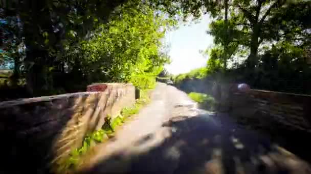 Viaje Otoño Través Serene Forest Lane — Vídeos de Stock