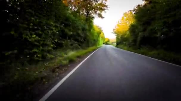 Hösten Kör Genom Fridfulla Skogen Lane — Stockvideo