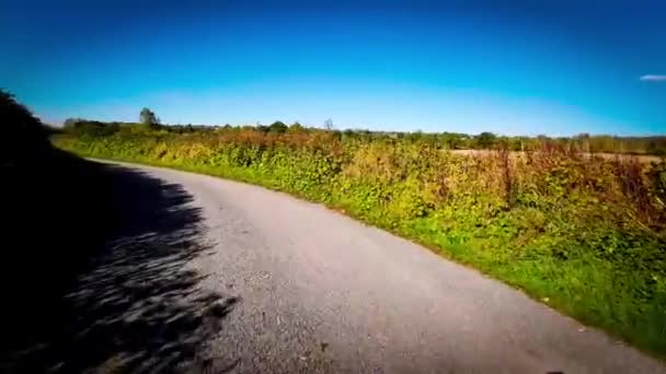 Promenade Automne Travers Serene Forest Lane — Video