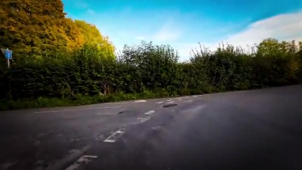 Autumn Drive Serene Forest Lane — Stock video