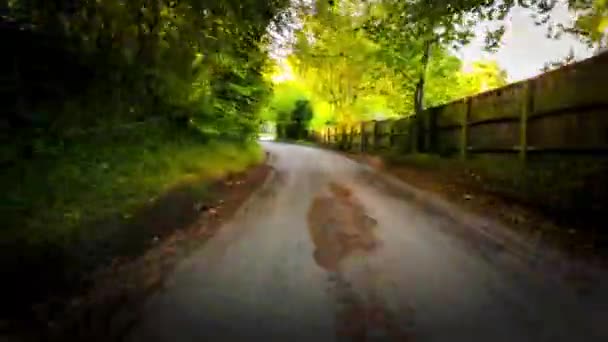 Jesienna Jazda Przez Spokojny Las Lane — Wideo stockowe