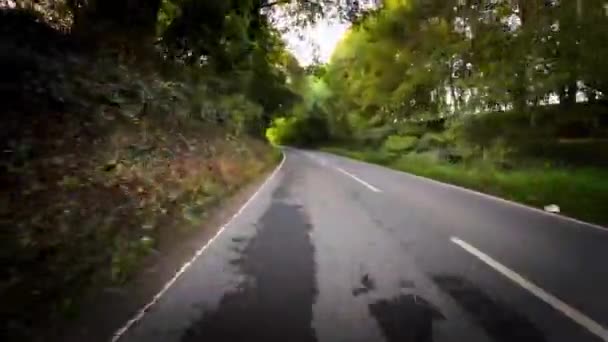 Autunno Drive Attraverso Serene Forest Lane — Video Stock