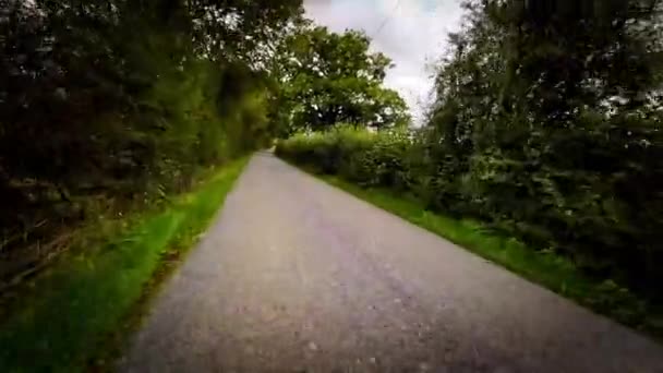 Viaje Otoño Través Serene Forest Lane — Vídeos de Stock