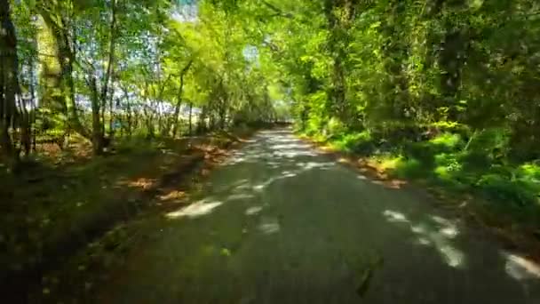 Immergrüne Schönheit Von Englands Naturparadies — Stockvideo