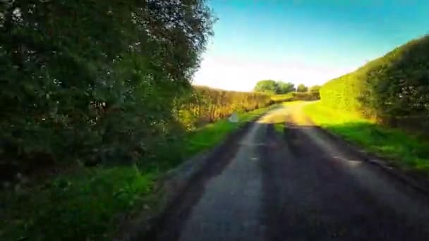 Вічнозелена Краса Природного Раю Англії — стокове відео