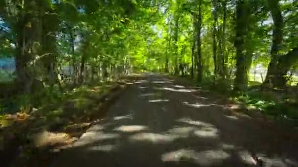 Evergreen Beauty England Natural Paradise — Stock video