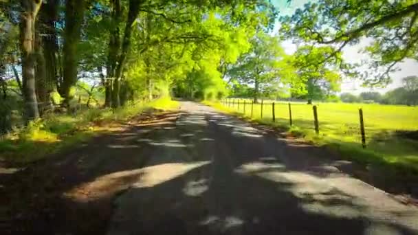 Вечно Зеленая Красота Английской Природы — стоковое видео
