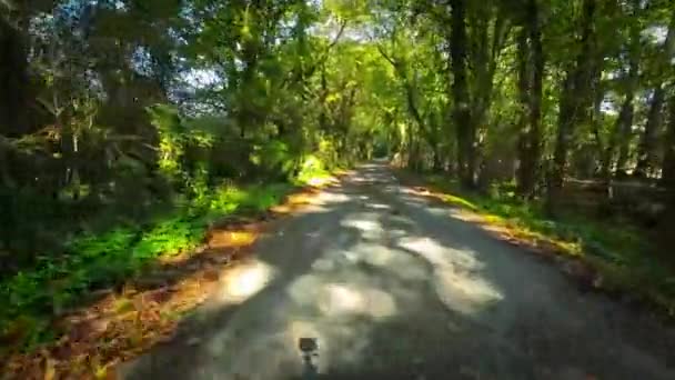 英格兰自然乐园的常青美景 — 图库视频影像