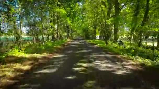 Belleza Perenne Del Paraíso Natural Inglaterra — Vídeos de Stock