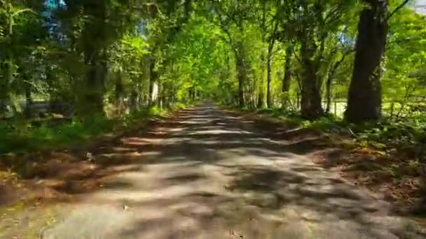 Evergreen Beauty England Natural Paradise — Vídeo de Stock