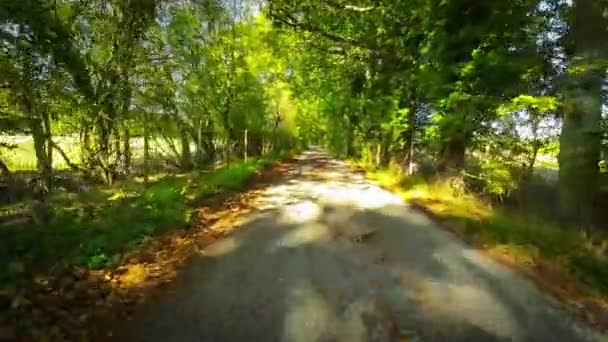 Evergreen Beauty England Natural Paradise — Vídeo de Stock