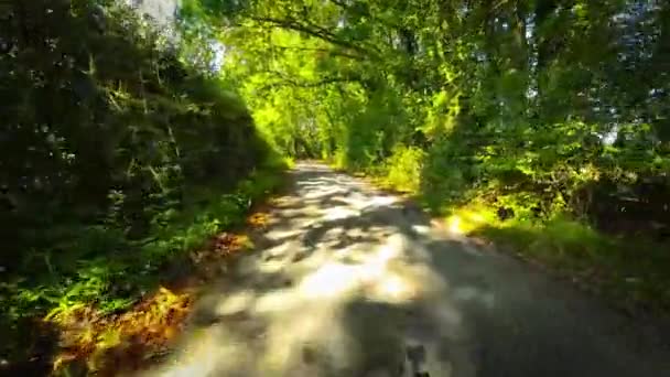 에버그린 잉글랜드의 파라다이스의 아름다움 — 비디오