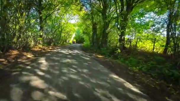 英格兰自然乐园的常青美景 — 图库视频影像