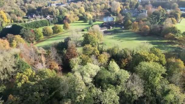 Őszi Faliszőnyeg Aerial Views Nature Architecture — Stock videók