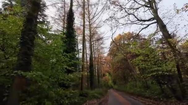 Autumn Drive Ein Kaleidoskop Der Palette Der Natur — Stockvideo