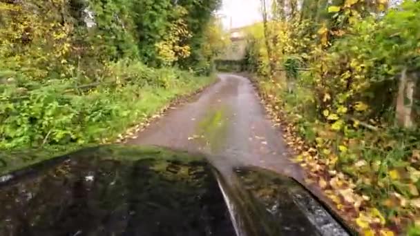 Autumn Drive Caleidoscópio Paleta Natureza — Vídeo de Stock