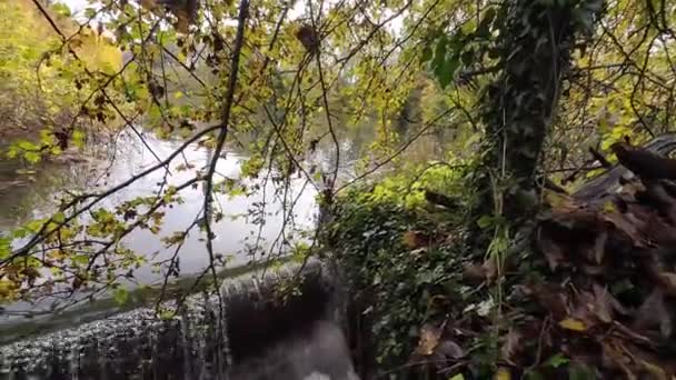 Waterside Serenity Autumnal Bliss England National Park — Stock Video