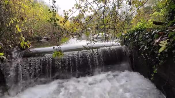 Waterside Serenity Autumnal Bliss Στο Εθνικό Πάρκο Της Αγγλίας — Αρχείο Βίντεο