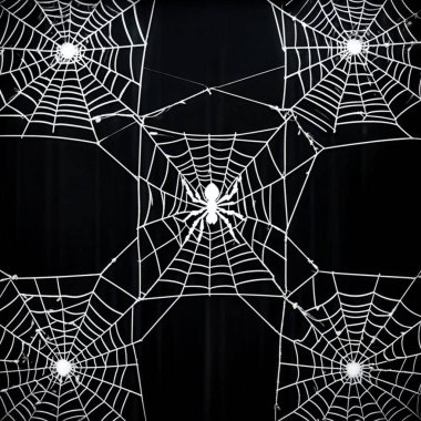Kara desenli Gotik Örümcek Ağı Çerçevesi