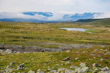 Çiğ Norveç manzarası - panorama, çayırların manzarası, göl ve karla kaplı dağlar. Vahşi yaşam. Norveç, İskandinavya. 