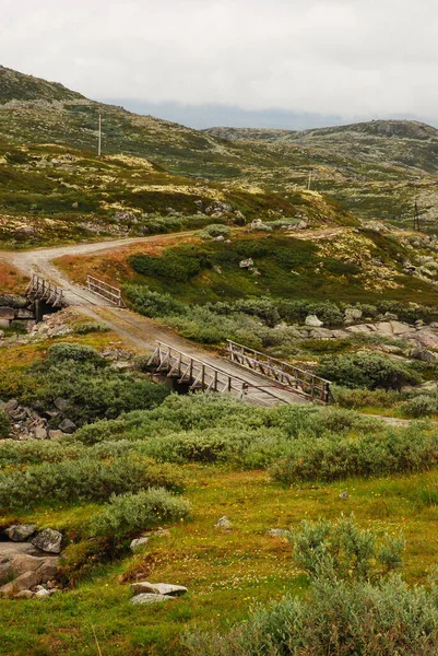 산으로 언덕이 내려다 보이는 산길을 유람하는 것이다 노르웨이 가로지르는 다리가 — 스톡 사진