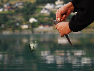 Fishing. A fisherman catches a fish and pulls the bait - hook out of its mouth. North Sea, fjord, Norway, Scandinavia. Catching fish.