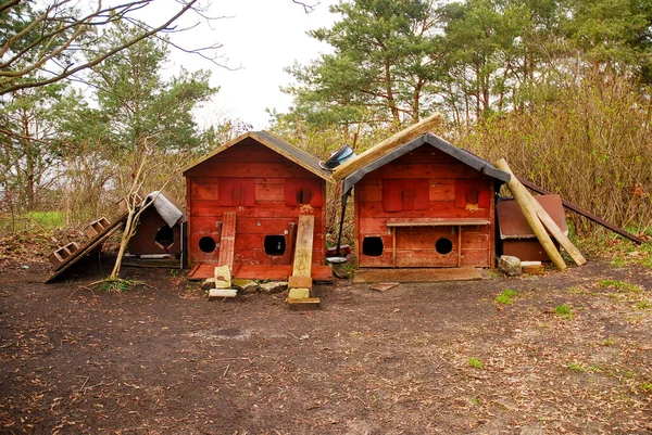 Ein Handgefertigtes Holzhaus Für Obdachlose Katzen Tierheim Für Herrenlose Und — Stockfoto