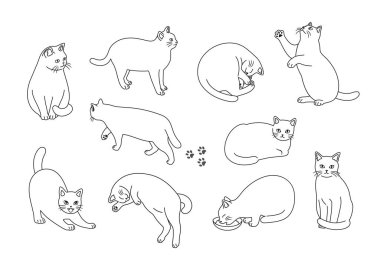 Illustration set of cats in various poses