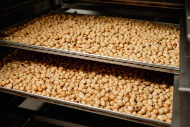 Sıcak bir mutfakta kavrulmuş fındık, havayı zengin, fındıklı bir aromayla doldurur. Altın zevkler tepsileri hasat mevsiminde mükemmel çıtırtılarını beklerken.